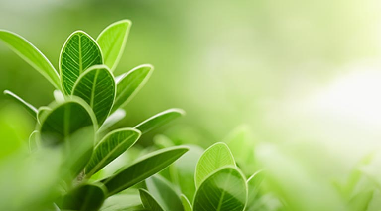 植物生長促進水イメージ