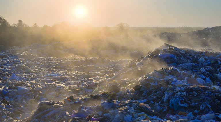 生ゴミイメージ