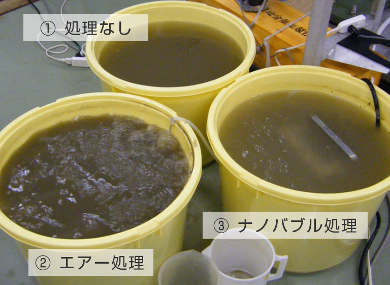 ヘドロ分解　12日目