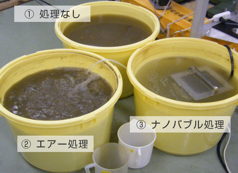 ヘドロ分解　39日目