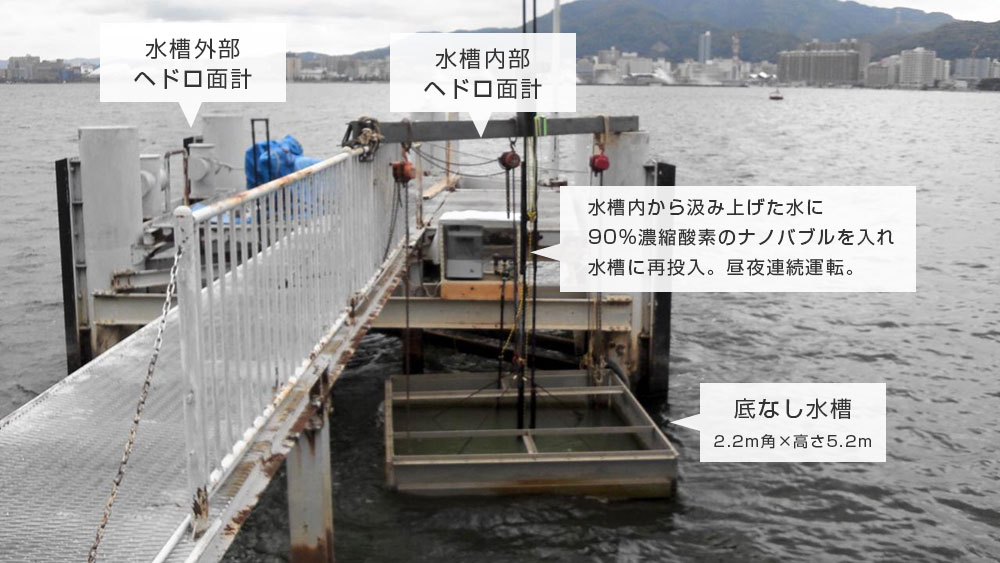 琵琶湖ヘドロ分解実験場