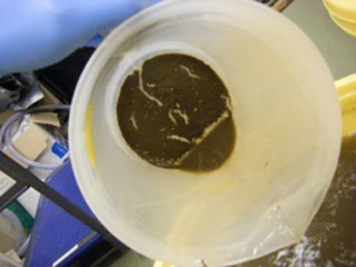 ヘドロ分解 懸濁物質量 エアー処理